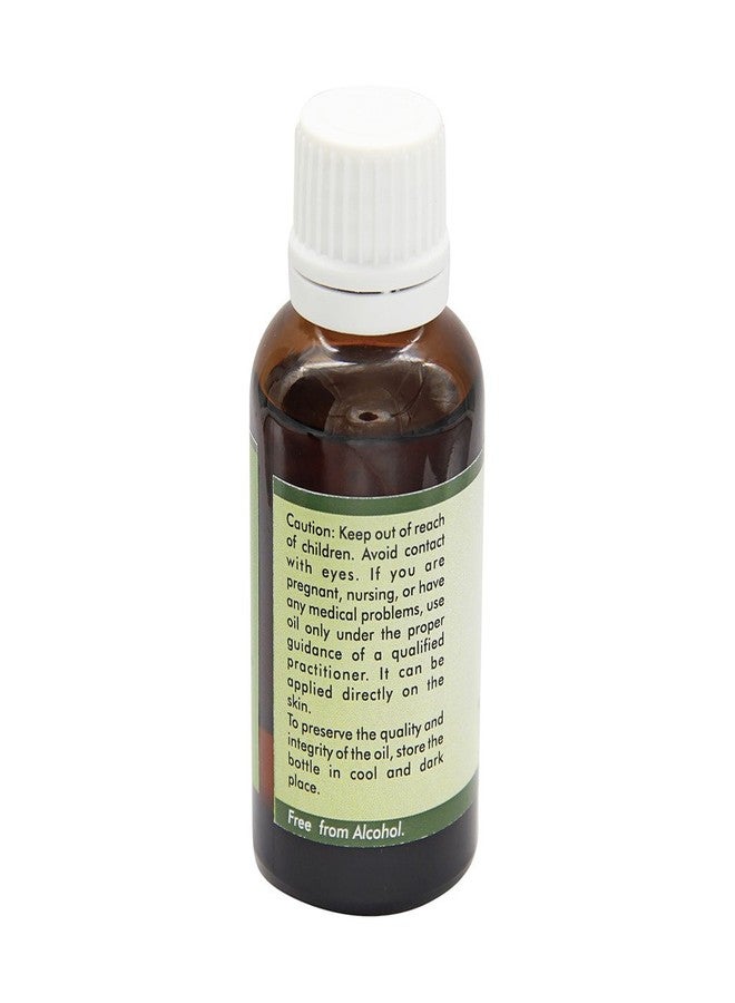 R V Essential Rosehip Seed Oil | Rosa Rubiginosa | for Face, Skin Care, Hair Care, Scalp Massage, Body Massage, Skin Moisturizer | 100% Pure Natural | Cold Pressed | 15ml | 0.507oz - Image 2